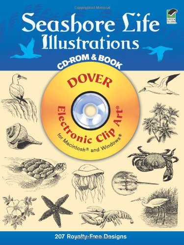 Stock image for Seashore Life Illustrations CD-ROM and Book [With CDROM] for sale by ThriftBooks-Dallas