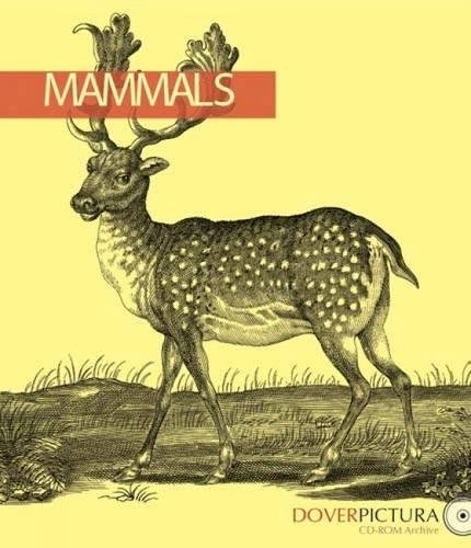 9780486996387: Mammals (Dover Pictura Electronic Clip Art)