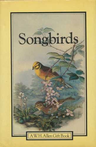 Stock image for Song Birds for sale by AwesomeBooks