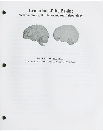 Custom Enrichment Module: Evolution of the Brain: Neuroanatomy, Development, and Paleontology (9780495129035) by Jurmain, Robert; Kilgore, Lynn; Trevathan, Wenda; Ciochon, Russell L.