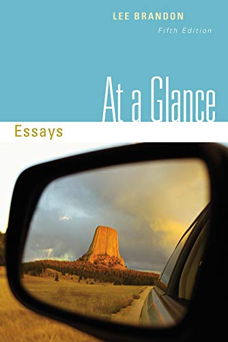 9780495906308: At a Glance: Essays