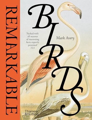 Beispielbild fr Remarkable Birds zum Verkauf von Blackwell's