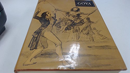 9780500090916: Goya Drawings: The Complete Album