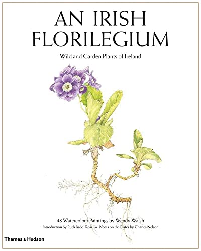 9780500233634: An Irish Florilegium /anglais