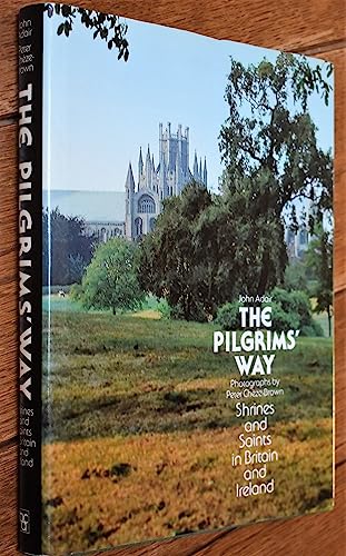 Beispielbild fr The Pilgrims' Way. Shrines and Saints in Britain and Ireland. zum Verkauf von Antiquariaat Schot