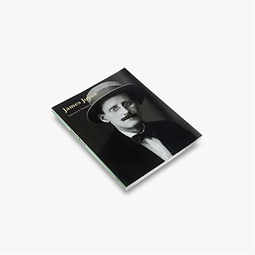 Imagen de archivo de James Joyce (Thames & Hudson Literary Lives) a la venta por AwesomeBooks