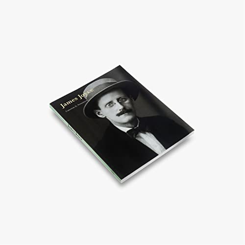 Stock image for James Joyce: (Literary Lives) (Thames & Hudson Literary Lives) for sale by WorldofBooks