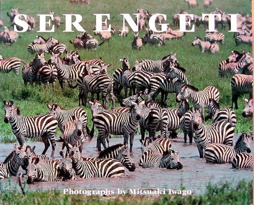 Stock image for Serengeti: Natural Order on the African Plain for sale by WorldofBooks