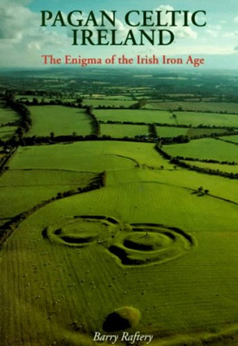 Stock image for Pagan Celtic Ireland: The Enigma of the Irish Iron Age for sale by HPB-Red