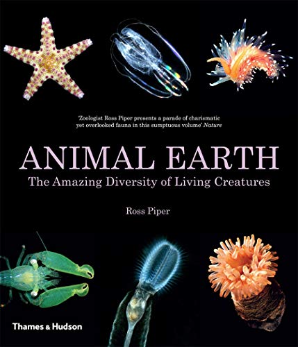 9780500291658: Animal Earth: The Amazing Diversity of Living Creatures