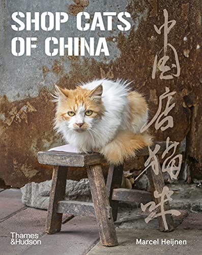 Stock image for Shop Cats of China for sale by Chiron Media