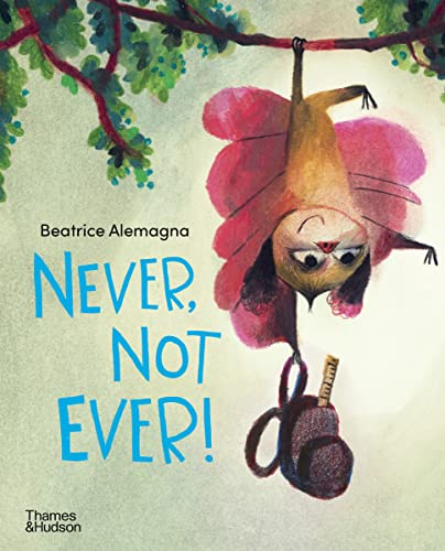 9780500296936: Never, not ever! (paperback) /anglais