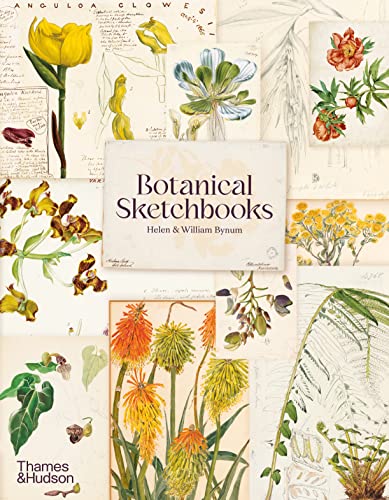 Beispielbild fr Botanical Sketchbooks zum Verkauf von Monster Bookshop