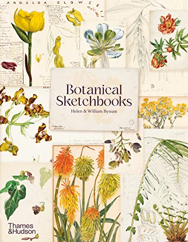 9780500297186: Botanical Sketchbooks