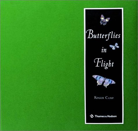 Beispielbild fr Butterflies in Flight zum Verkauf von ThriftBooks-Dallas