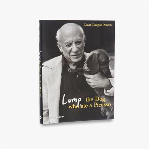 Stock image for Lump : The Dog who ate a Picasso /anglais for sale by Ergodebooks