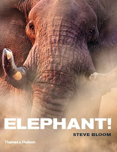 9780500513217: Elephant !: Steve Bloom