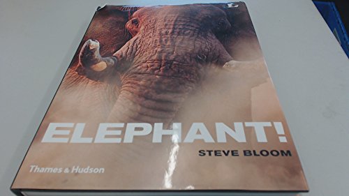 Stock image for Elephant! for sale by WorldofBooks