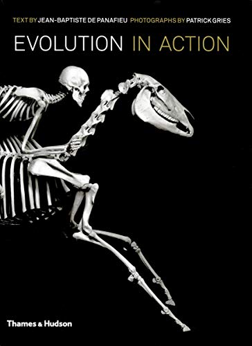 Stock image for Evolution in Action: Natural History through Spectacular Skeletons for sale by Monster Bookshop