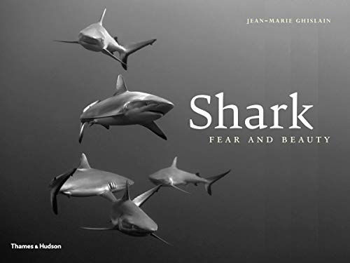 9780500517734: Shark: Fear and Beauty