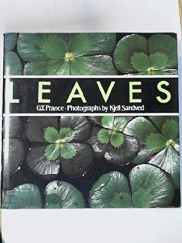 Beispielbild fr Leaves zum Verkauf von medimops