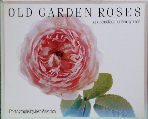 Beispielbild fr Old Garden Roses: And Selected Modern Hybrids zum Verkauf von Wonder Book