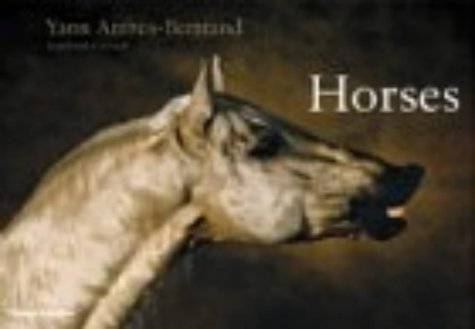 Beispielbild fr Horses zum Verkauf von Reuseabook