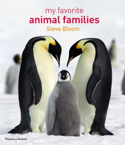 9780500543900: My Favourite Animal Families