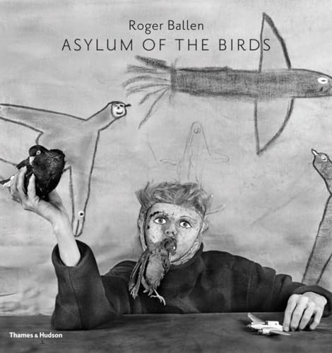 Stock image for Asylum of the Birds for sale by Before Your Quiet Eyes