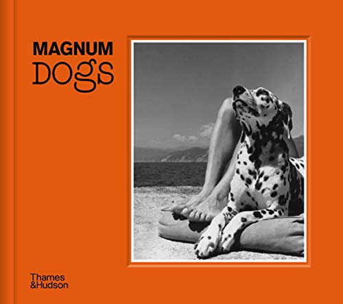 Beispielbild fr Magnum Dogs zum Verkauf von SecondSale