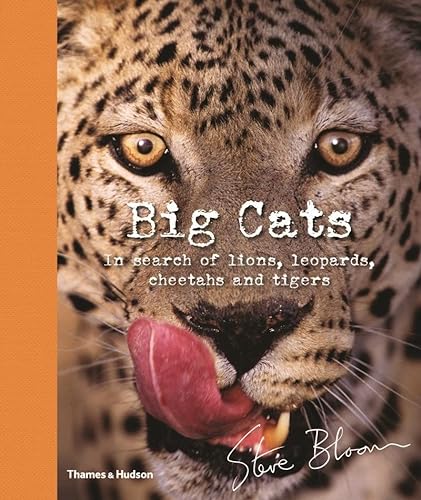 Imagen de archivo de Big Cats: In Search of Lions, Leopards, Cheetahs, and Tigers a la venta por More Than Words