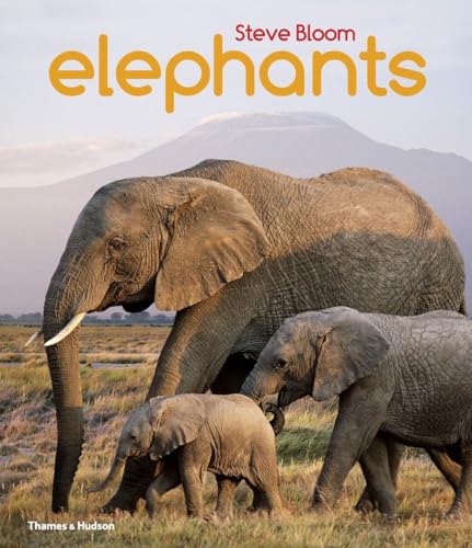Stock image for Elephants: A Book for Children for sale by Wonder Book