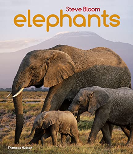 9780500650554: Elephants: A Book for Children