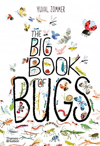 9780500650677: The big book of bugs