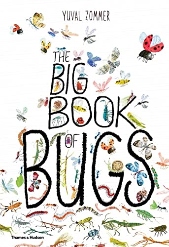 9780500650677: The Big Book of Bugs