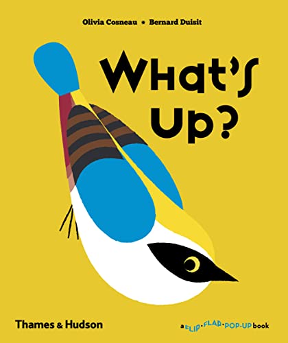 Imagen de archivo de What's Up? (Flip Flap Pop-Up) a la venta por medimops