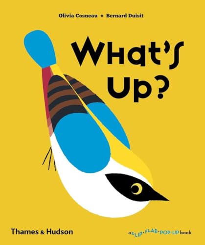 Stock image for What's Up? for sale by Better World Books