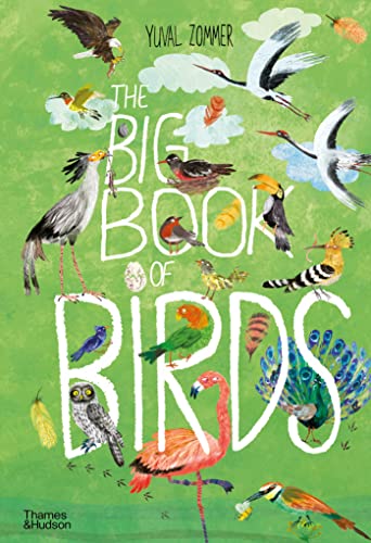 Beispielbild fr The Big Book of Birds zum Verkauf von Better World Books