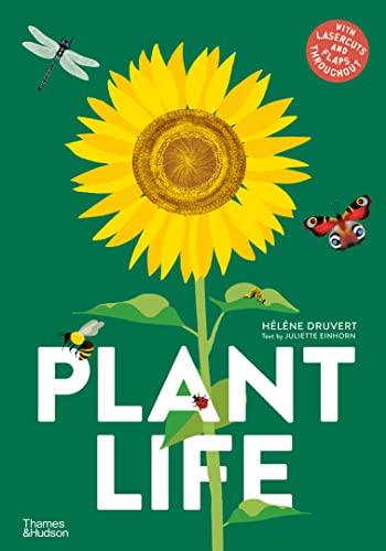 Beispielbild fr Plant Life zum Verkauf von Blackwell's