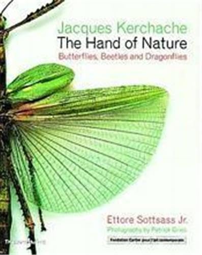 Imagen de archivo de The Hand of Nature: Butterflies, Beetles, and Dragonflies a la venta por HPB Inc.