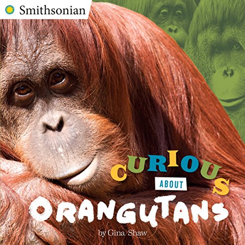 Stock image for Curious about Orangutans for sale by Better World Books