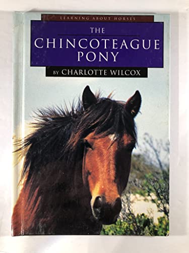 Imagen de archivo de The Chincoteague Pony a la venta por Better World Books