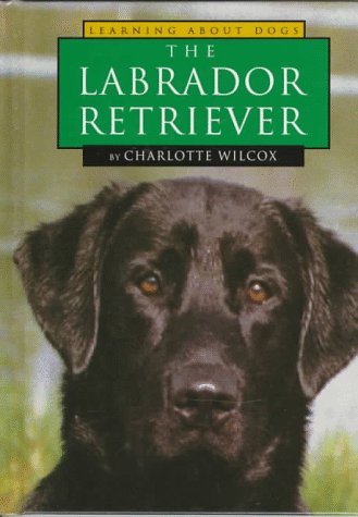 Imagen de archivo de The Labrador Retriever (Learning about Dogs) a la venta por More Than Words