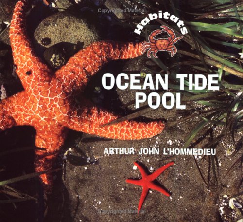 Beispielbild fr Ocean Tide Pool zum Verkauf von Better World Books
