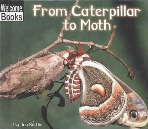 Imagen de archivo de From Caterpillar to Moth a la venta por Better World Books