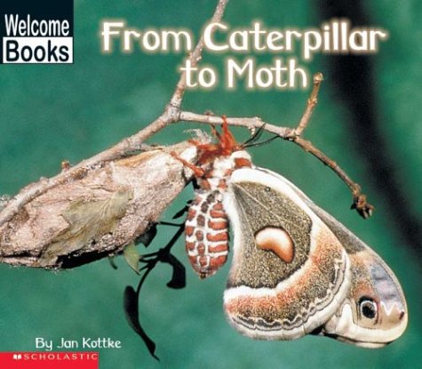 Imagen de archivo de From Caterpillar to Moth (How Things Grow) a la venta por Wonder Book