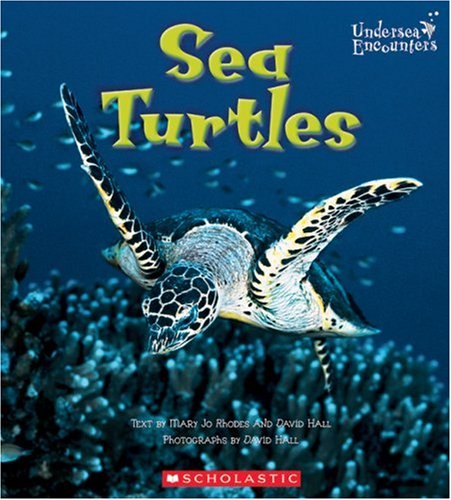 9780516243917: Sea Turtles (UNDERSEA ENCOUNTERS)