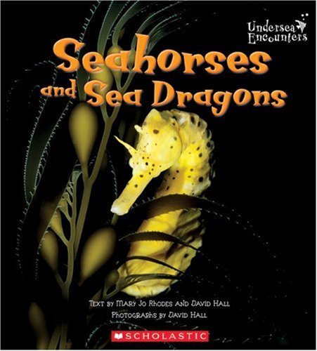Stock image for Seahorses and Sea Dragons for sale by ThriftBooks-Atlanta