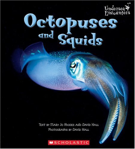 Stock image for Octopuses and Squids for sale by Better World Books