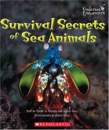 Stock image for Survival Secrets of Sea Animals for sale by Better World Books